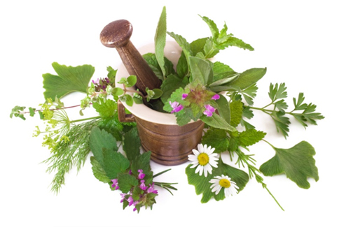 Plant Medicine, Herbalism