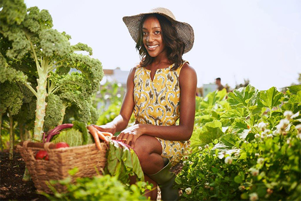 Health and Wellness Coach with Holistic Nutrition Focus